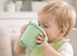 modelo taza aprendizaje